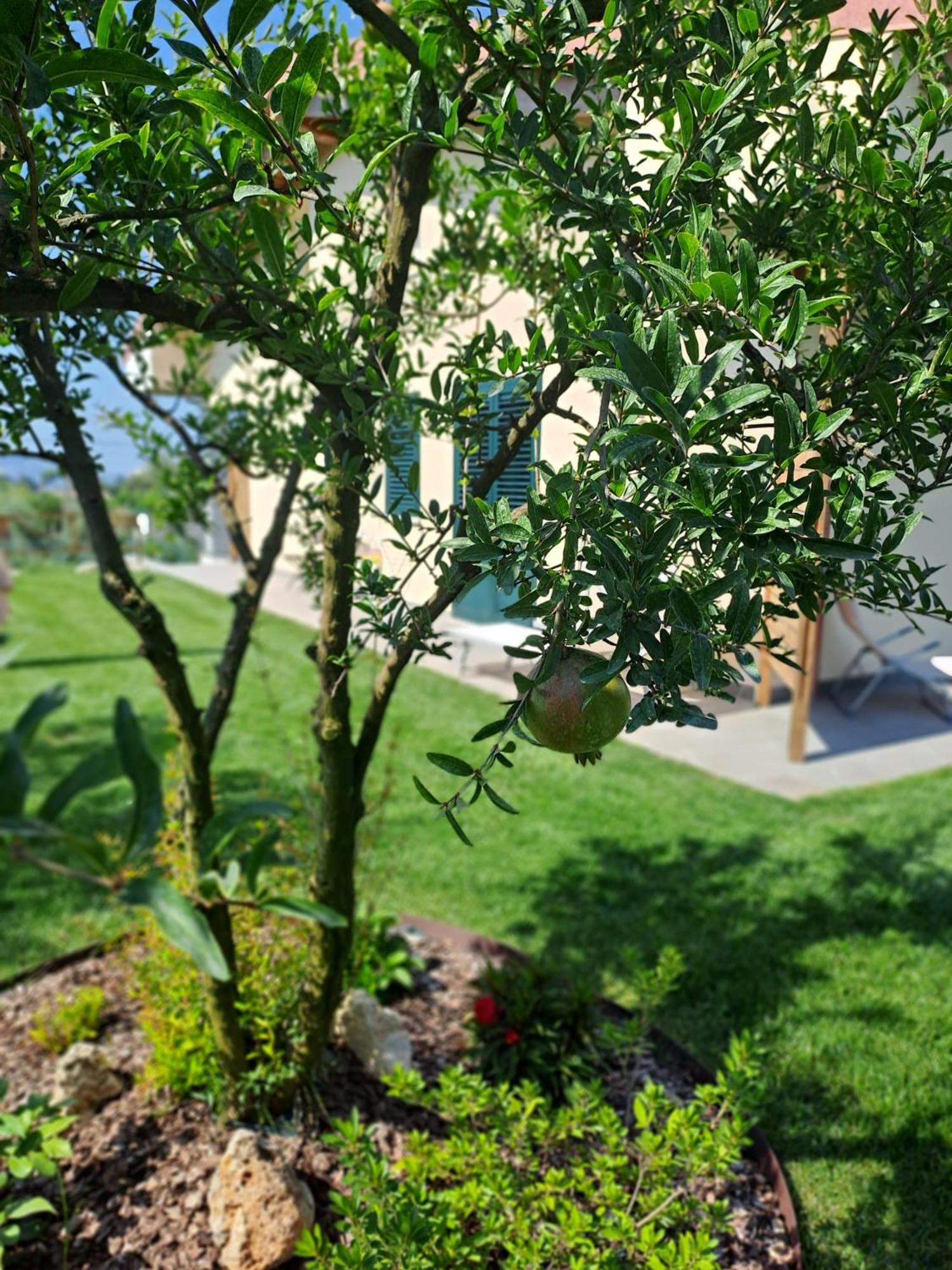Bed and Breakfast La Campagna Di Peppe E Tullia Формія Екстер'єр фото