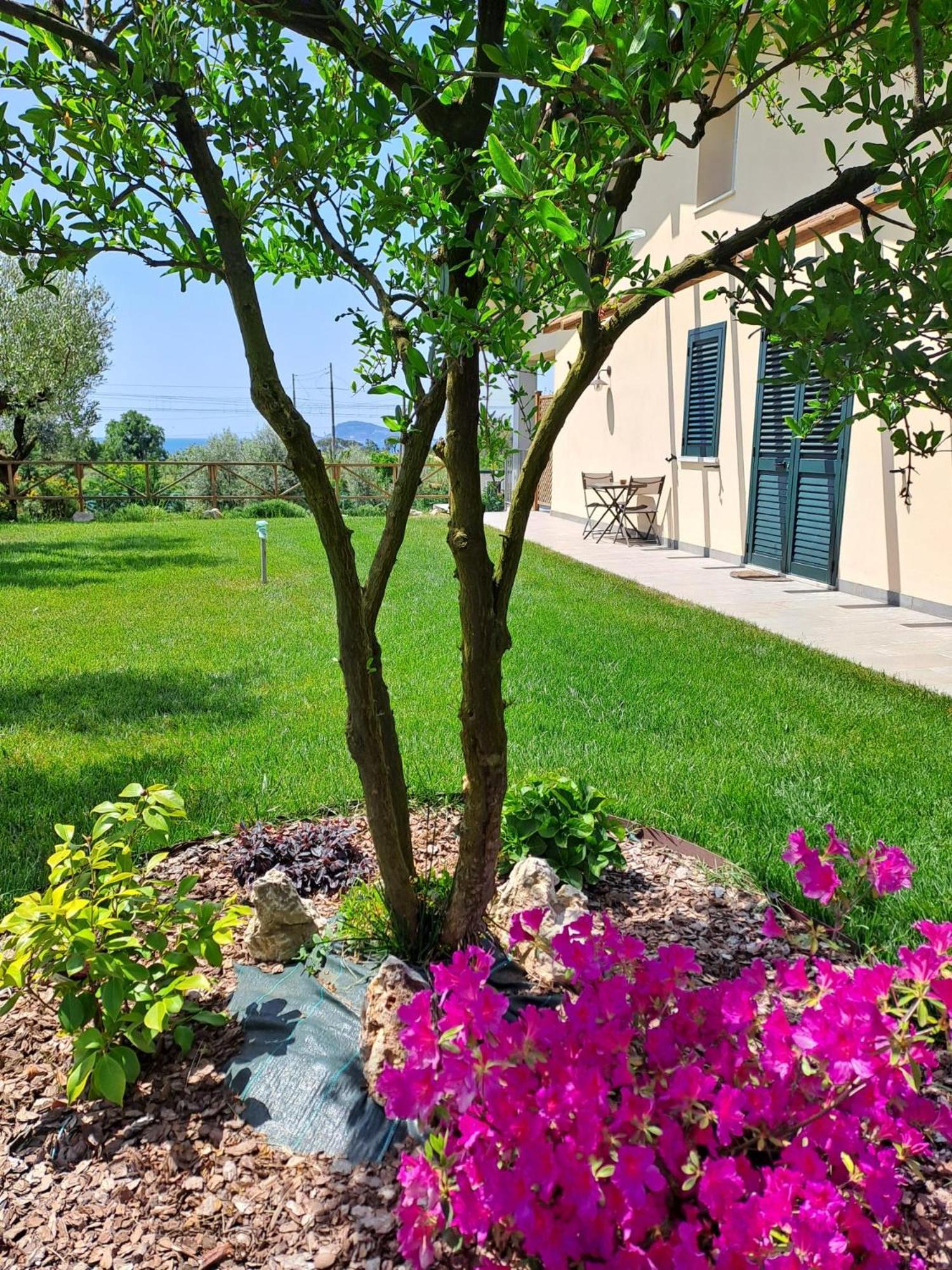 Bed and Breakfast La Campagna Di Peppe E Tullia Формія Екстер'єр фото